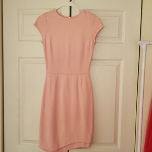 Fitted Blush Pink Mini Dress